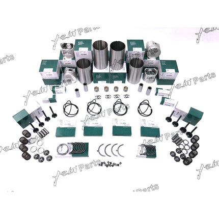 V2203 V2203E Overhaul rebuild Kit Kubota Bobcat Indirect Inject Engine W Valves