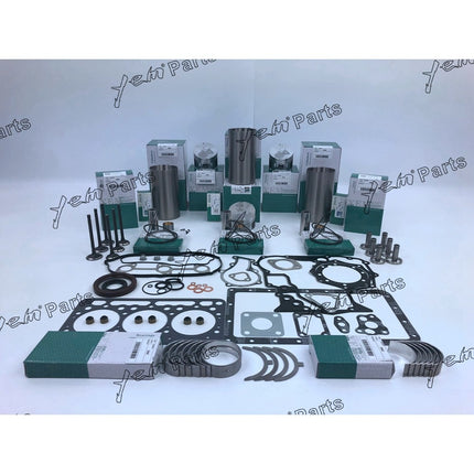 D902 Rebuild Kit For Kubota RTV900 RTV900G RTV900G9 RTV900R RTV900T RTV900W